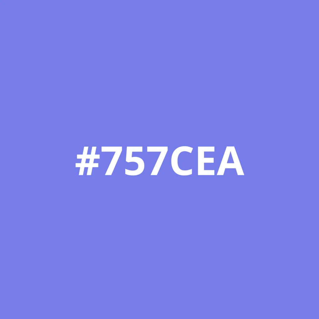 Square filled with light purple colour, with a HEX code: #757CEA.