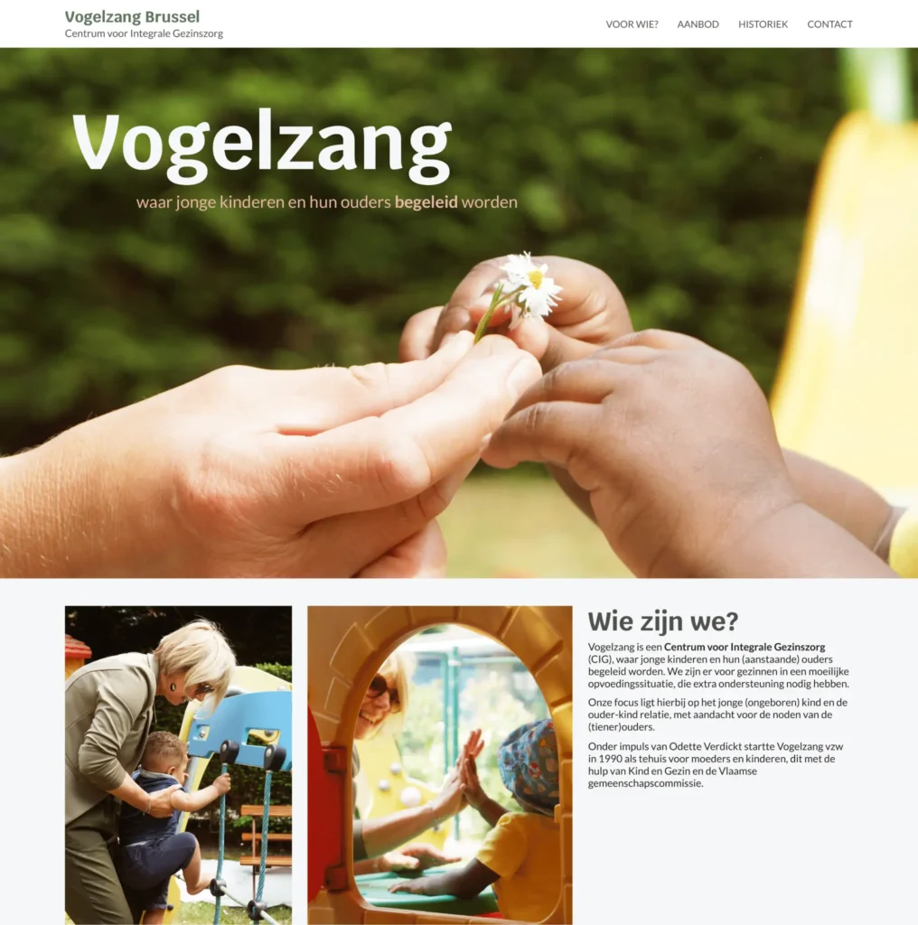 The homepage from the Vogelzang's website.