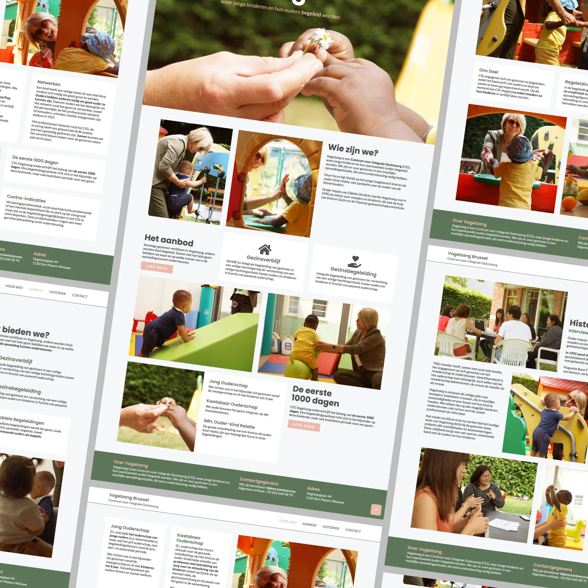 A collection of pages from the Vogelzang's website.