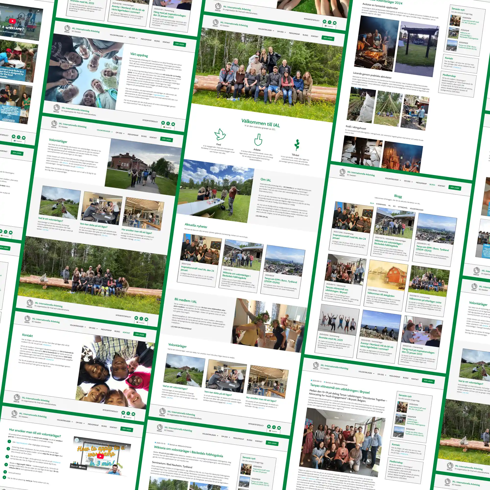 A collection of pages and graphics from IAL's website.